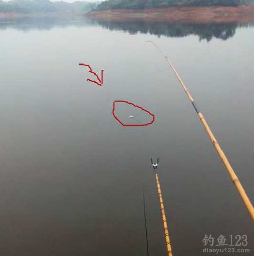 冬季野钓鲫鱼鲤鱼