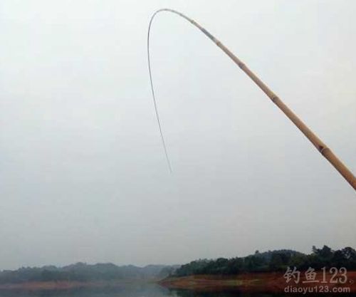冬季野钓鲫鱼鲤鱼