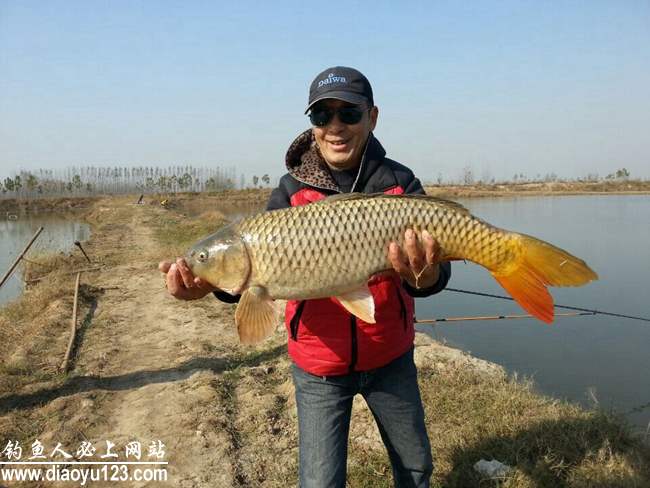 黄河钓鲤鱼