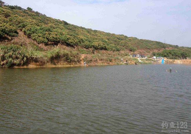冬季垂钓白石洞钓获鲫鱼和罗非