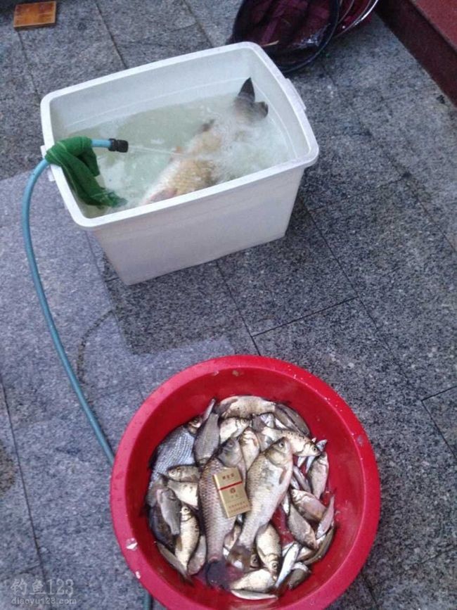 你让我创造了十多年来人生垂钓奇迹！