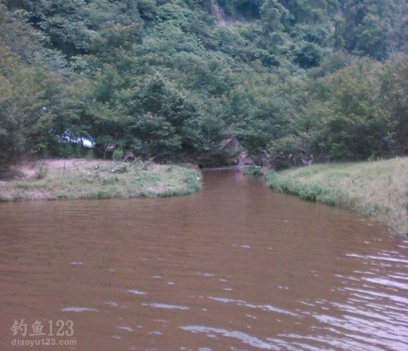  涉足深山老林垂钓野生鲫鱼