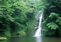 山涧瀑布野钓百尾大鲫鱼