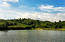初夏水库垂钓土鲮鱼