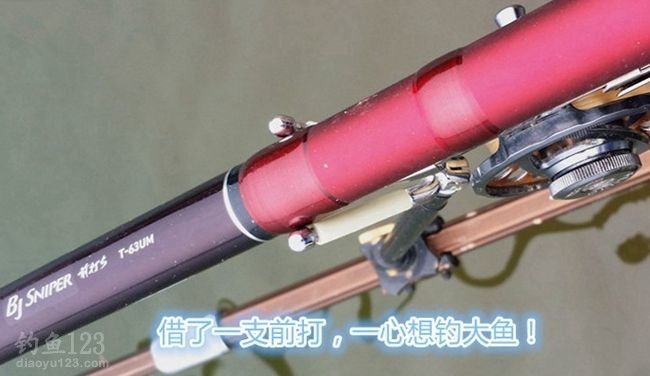 专心守大鱼