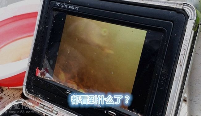 鱼情变化