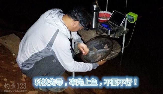 鳊鱼来了，草鱼随后就到