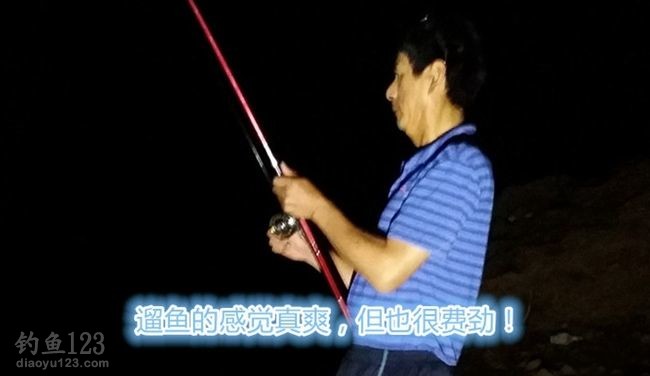 太平湖夜钓鲤鱼