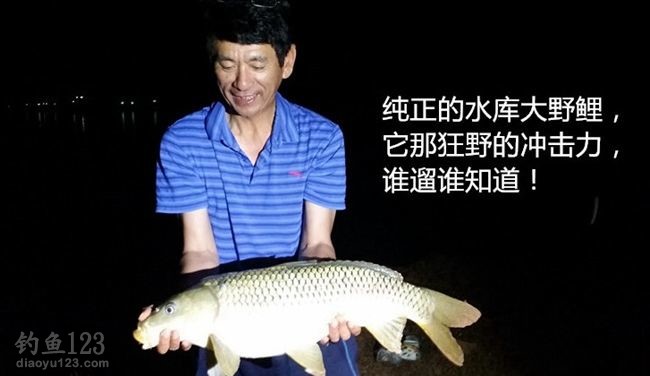 水库钓获大鲤鱼