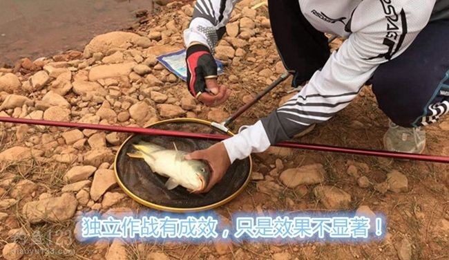 钓获大一条鲤鱼