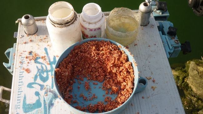 寺沟水库作钓饵料