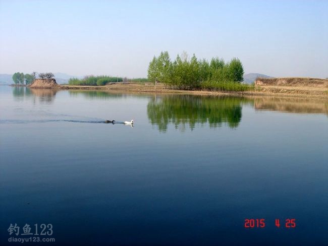 钓场赏景