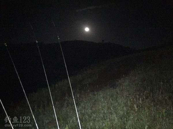 爽钓长湖涨水鱼