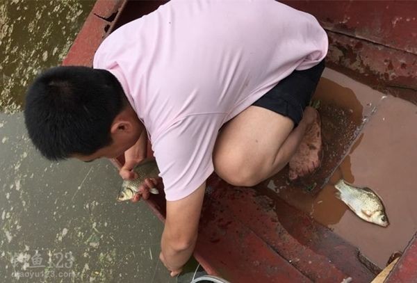 有船就是任性，毛起了，分分钟搞定