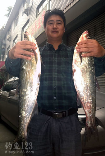 白龙湖钓米级翘嘴
