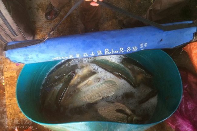 用太阳伞包作个参照