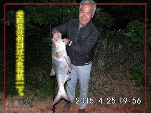 老陈说没钓到过大鱼得摸一下