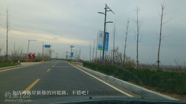 初钓大沽河垂钓黄金鲫