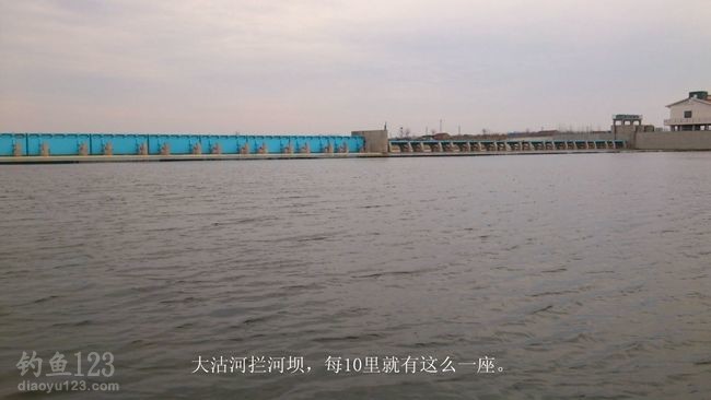 初钓大沽河垂钓黄金鲫
