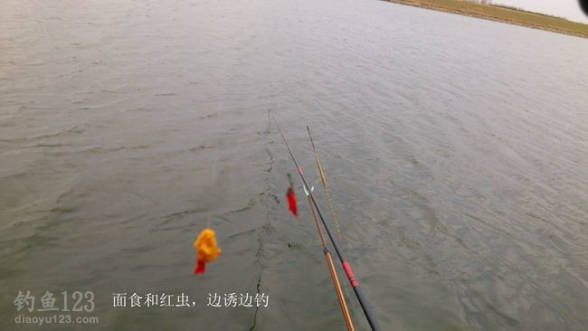 初钓大沽河垂钓黄金鲫