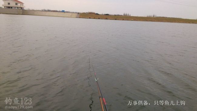 初钓大沽河垂钓黄金鲫