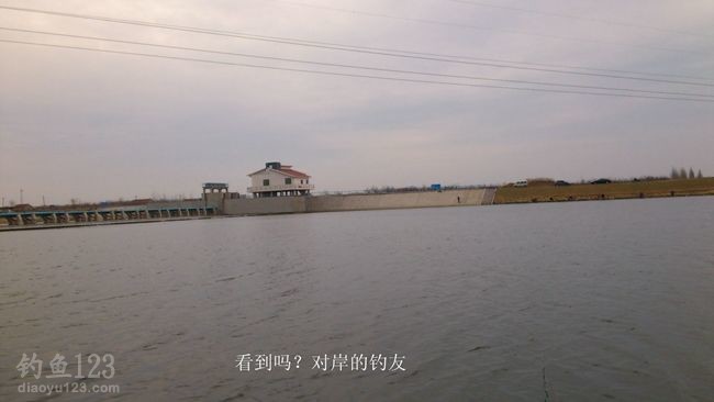 初钓大沽河垂钓黄金鲫