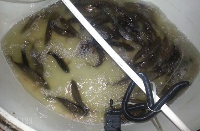 这是集体照