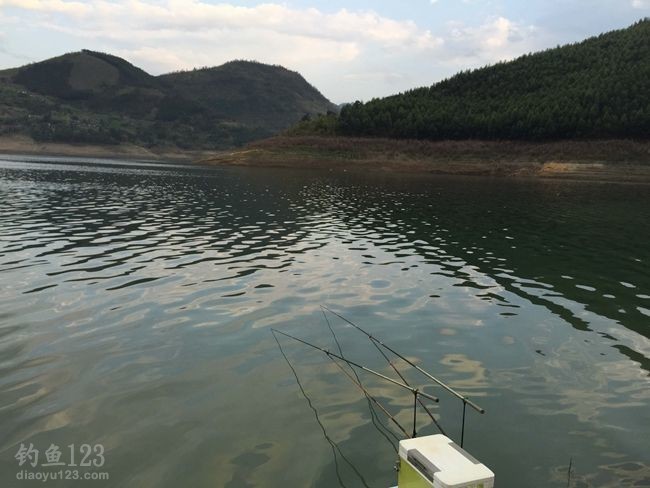 春季垂钓万峰湖鲤鱼翘嘴大爆护