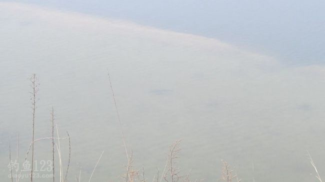 2015升钟湖水库垂钓攻略之春钓浅滩鱼