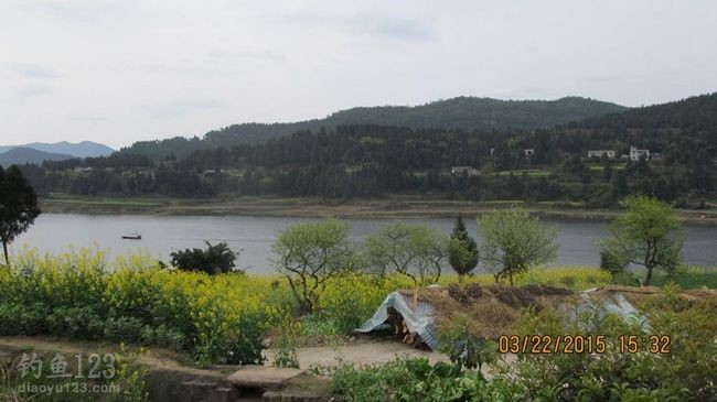 2015升钟湖水库垂钓攻略之春钓浅滩鱼