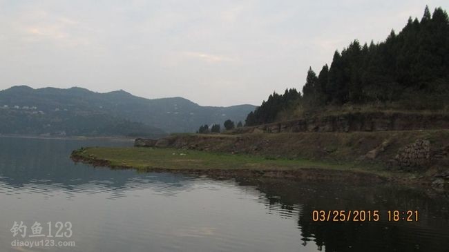 2015升钟湖水库垂钓攻略之春钓浅滩鱼