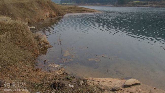 2015升钟湖水库垂钓攻略之春钓浅滩鱼