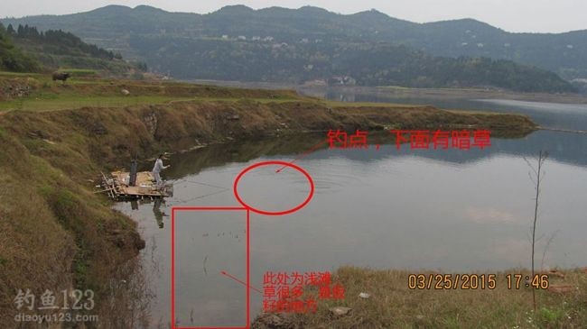 2015升钟湖水库垂钓攻略之春钓浅滩鱼