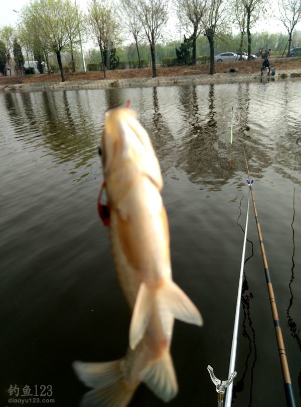 心身的愉悦一定会给来日的工作和生活奉献新的精彩！
