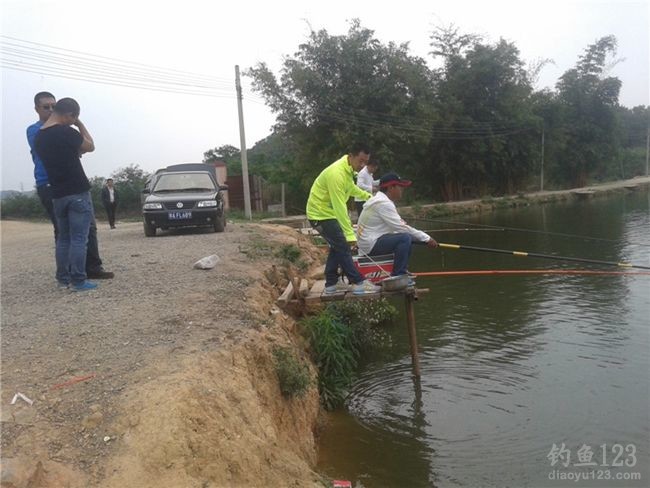 白泥坑长竿大线钓获大青鱼