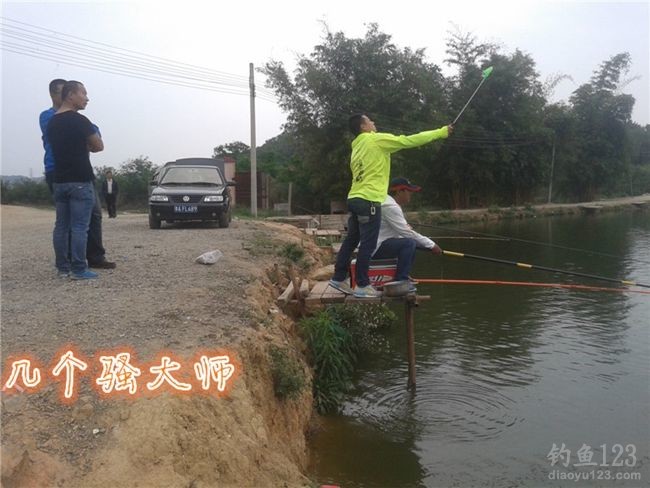 白泥坑长竿大线钓获大青鱼