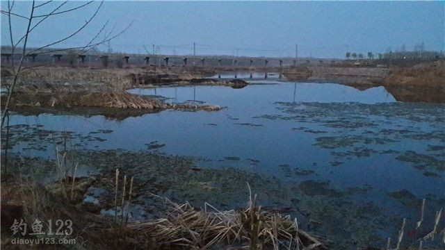野河钓鲫鱼