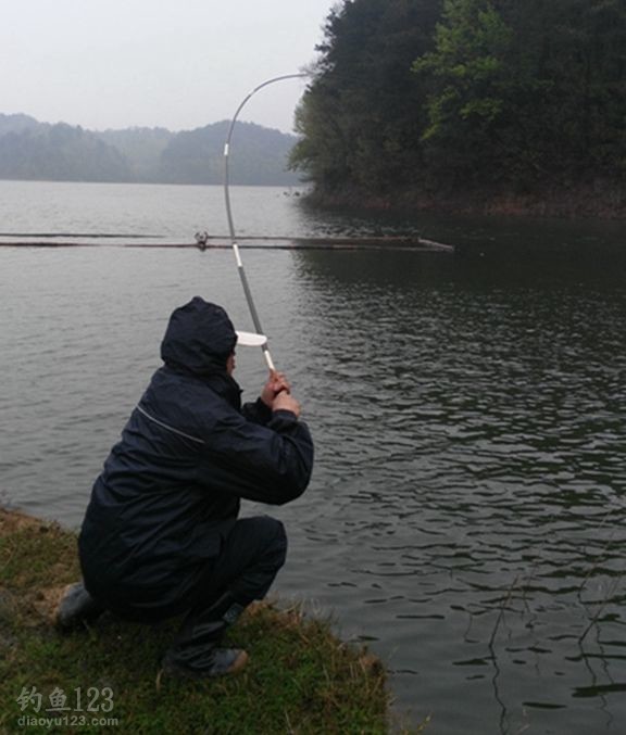 多年未开放钓鱼，鱼种以鲤、鲫、草、青、翘等居多，吃住方便