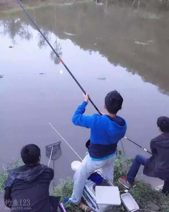 草鱼