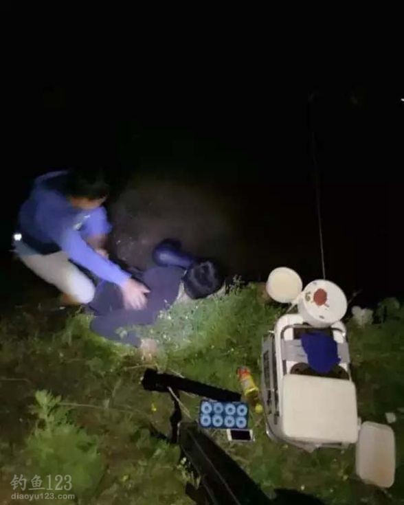 遛鱼