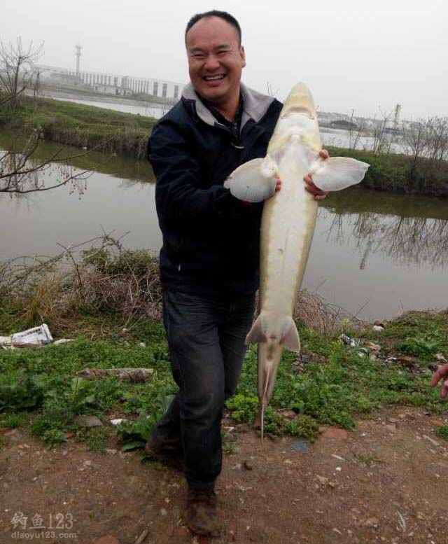 鱼竿