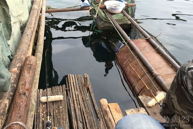 2015万峰湖疯狂垂钓之行