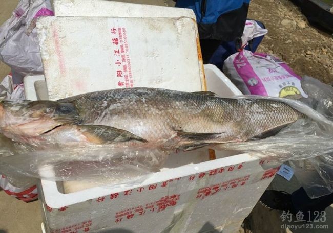 2015万峰湖疯狂垂钓之行