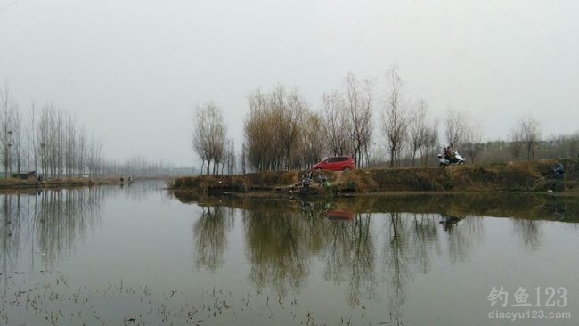 河南南阳西北瓦屋河水库浅滩疯钓鲫鱼
