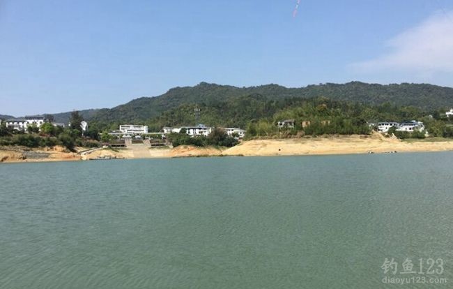 与渔友春季作钓山仔水库鱼获大丰收