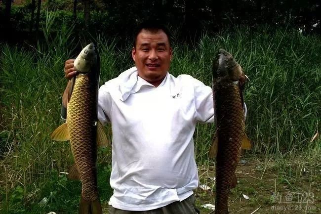 春季钓水库擒获3条大草鱼
