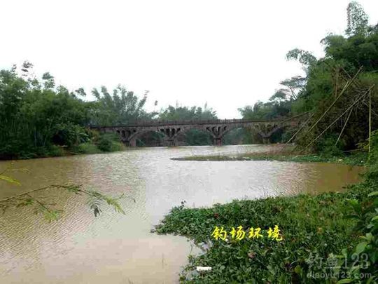 新年垂钓大鲫利事狂拉鲫鱼满鱼护