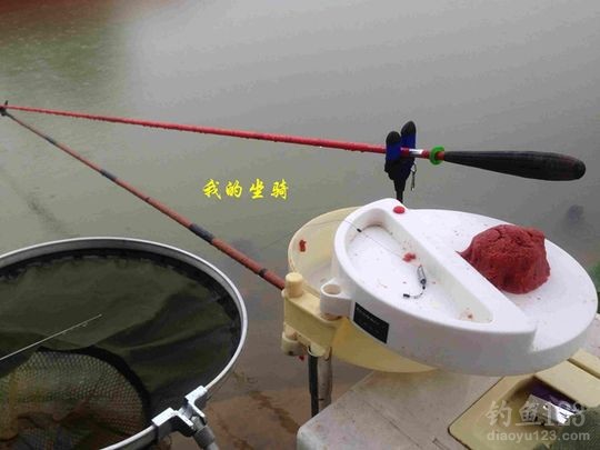 新年垂钓大鲫利事狂拉鲫鱼满鱼护
