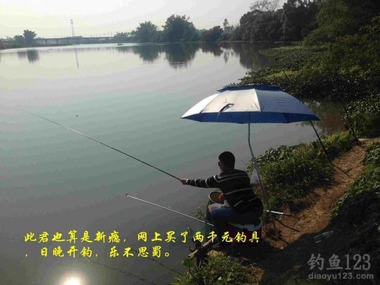 新年垂钓大鲫利事狂拉鲫鱼满鱼护