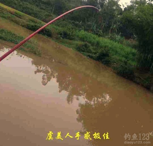 新年垂钓大鲫利事狂拉鲫鱼满鱼护